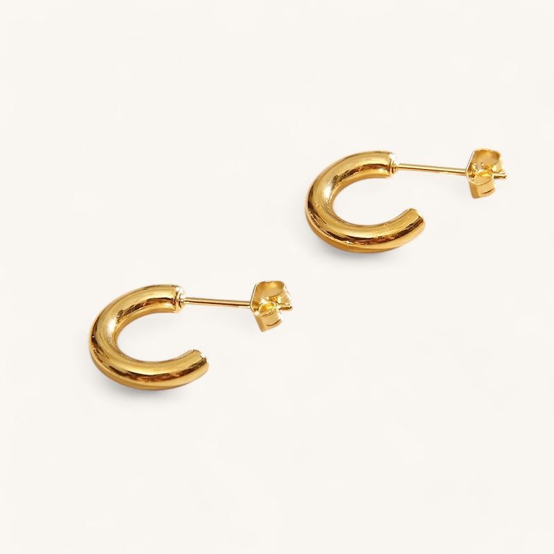 Ioana Hoops