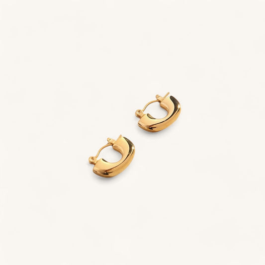 Warrior Earrings