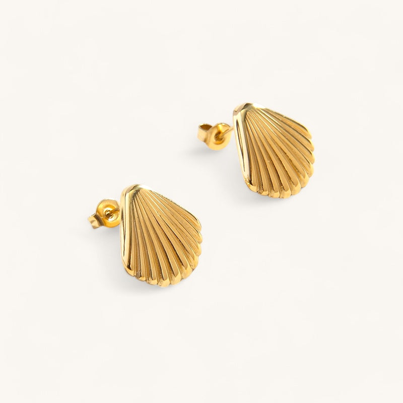 Shell Earrings