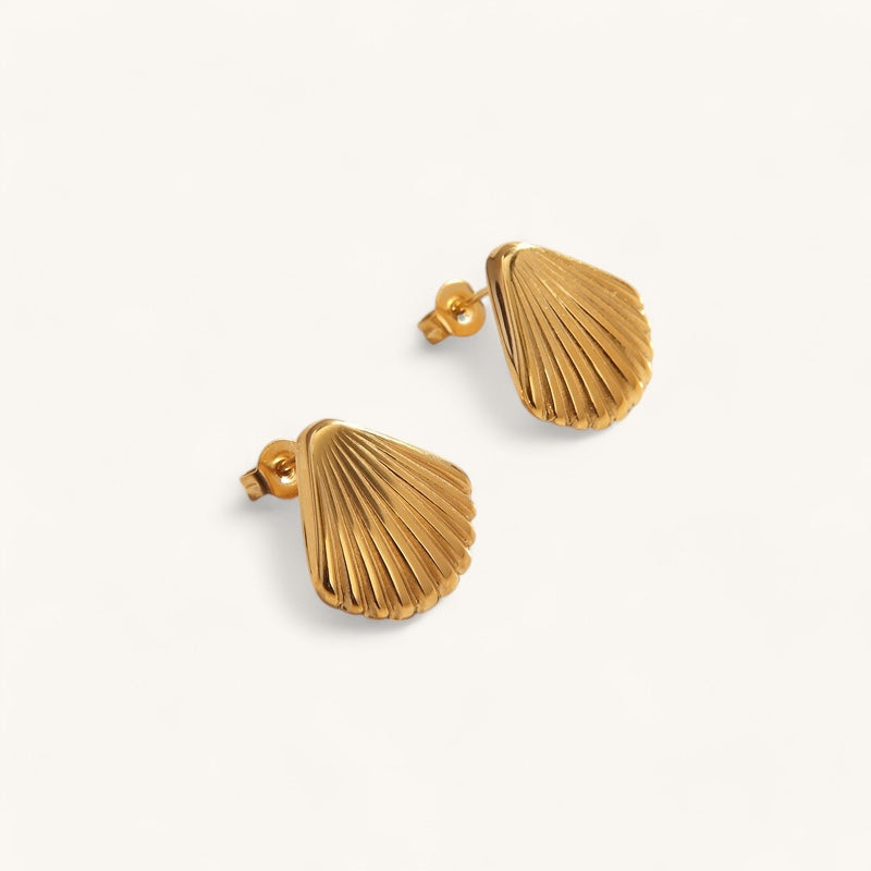 Shell Earrings